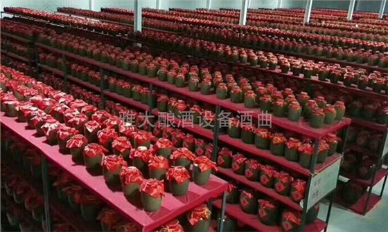 春節(jié)備貨大戰(zhàn)打響，你的定制酒準(zhǔn)備好了嗎1