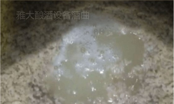 大米半固態(tài)發(fā)酵，沒加水前酒液就很豐富7