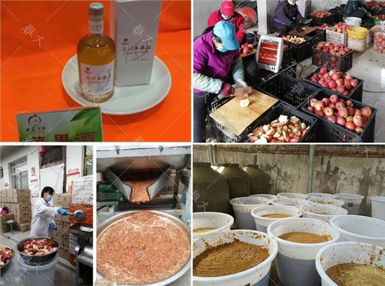 大型釀酒設(shè)備做蘋果酒，“花樣”賺錢1