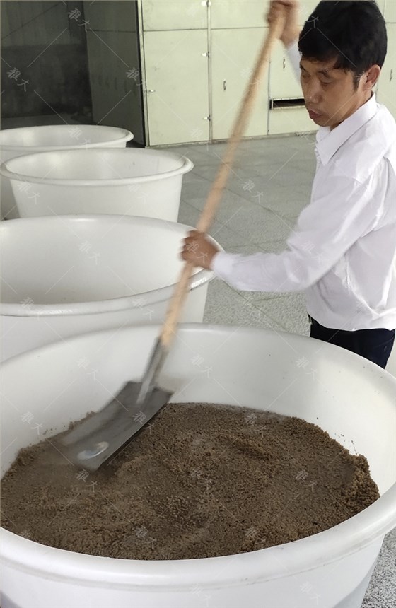 4.1蔣總現(xiàn)場教李總做紅薯渣酒