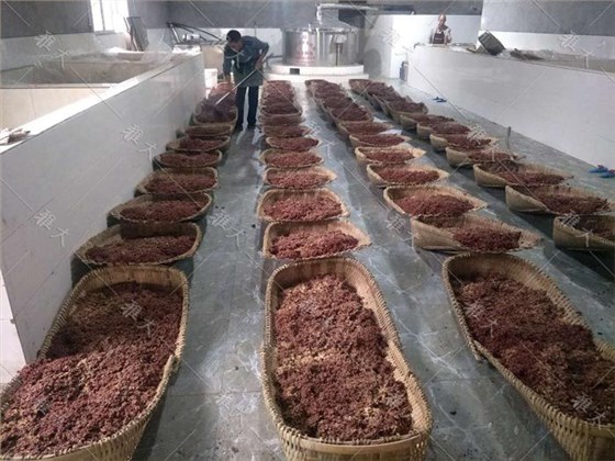 自從有了這套白酒釀酒設(shè)備，“懶人”也愿意用古法釀酒了 1