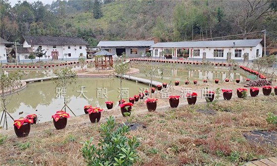 用白酒蒸餾設(shè)備做李子酒的標(biāo)準(zhǔn)教程被公布，趕緊去看看吧！ 2