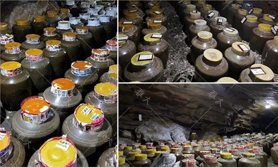 引進大型釀酒設備，酒旅融合，依托溶洞優(yōu)勢資源打造特色洞藏酒 8