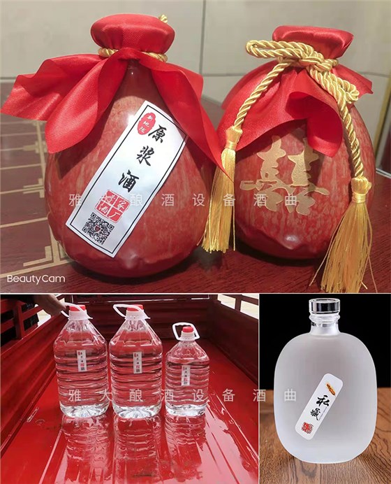 12.18致富新模式，用烤酒設(shè)備蒸酒后的酒糟飼養(yǎng)肉牛成本低，效益高-瓶裝酒