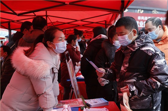 春風(fēng)送溫暖，就業(yè)送真情4