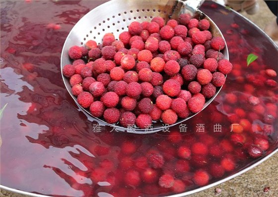 夏季用不銹鋼釀酒設(shè)備做酒，這3大白酒市場(chǎng)一定要把握?。?