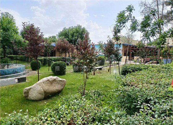 工程師變身“農(nóng)莊主”，又引進(jìn)白酒烤酒設(shè)備，為農(nóng)莊增添新特色9