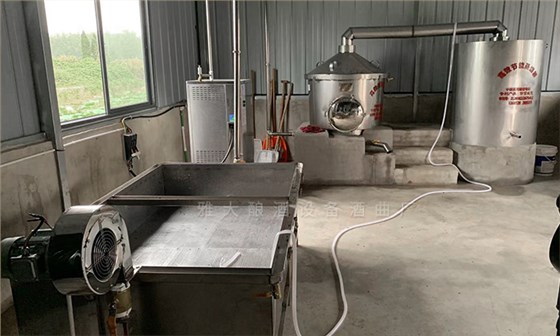 雅大果酒釀造設備