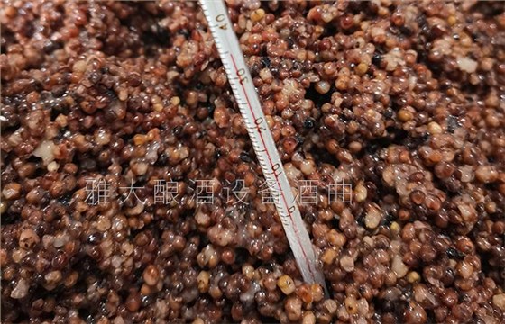 夏季用白酒蒸餾設(shè)備釀酒為什么容易酒苦？ 3