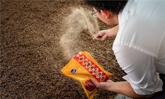 用烤酒設(shè)備做酒，出酒率與原料、工藝的深度探討 7