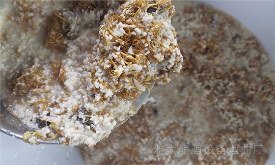 秋意濃，酒香醇，寒露與白酒的完美邂逅 7