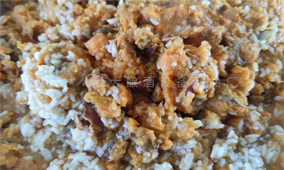 寧遠(yuǎn)土茅臺——紅薯酒是怎樣釀造出來的？ 5