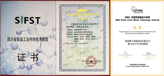 雅大總經(jīng)理胡明月榮獲2024年湖南省企業(yè)創(chuàng)新達(dá)人 9