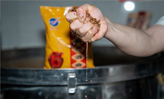 春天的氣溫最適合谷物發(fā)酵