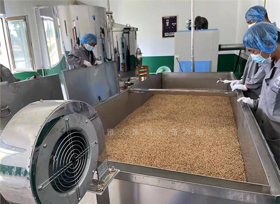 酒酸了別怪天氣！90%的春季酸敗，都是這5個(gè)衛(wèi)生漏洞惹的禍 5