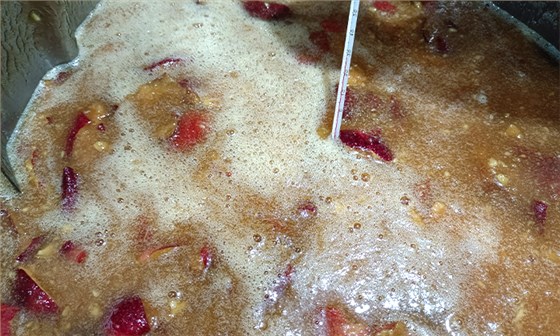 夏季水果大豐收！便宜水果釀成酒，好喝又好賣(mài)，趕緊抓住商機(jī)！ 8