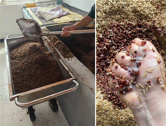 為讓客人喝上放心酒，他在度假村里建酒坊！結(jié)果回頭客暴增，還開(kāi)辟新財(cái)路 4