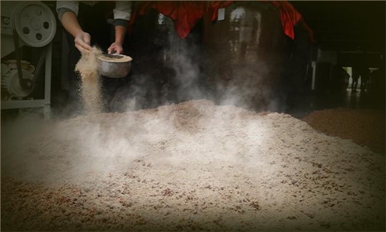 夏季釀酒易發(fā)酸、出酒少？一招解決高溫難題！ 2