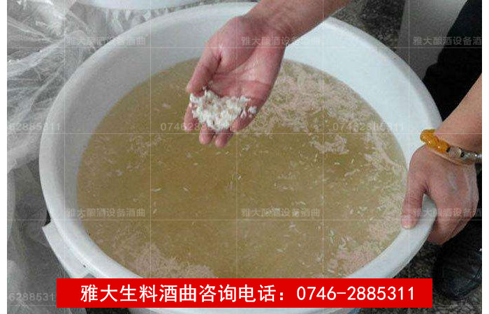 【釀酒技術(shù)】生料釀酒注意事項(xiàng)答疑