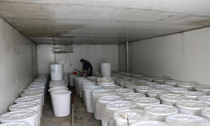 為什么以前釀的酒不苦，冬季燒酒設(shè)備釀的酒有點苦呢？