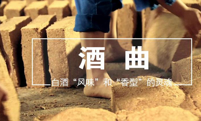酒苦影響純糧白酒的銷售？雅大釀酒設(shè)備送上解決方案 2