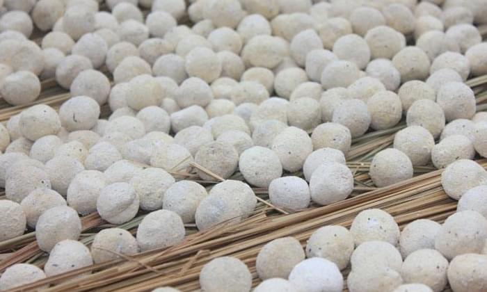 酒曲到底是什么“東東” 可將糧食轉(zhuǎn)化成酒而不是其他物質(zhì)？4