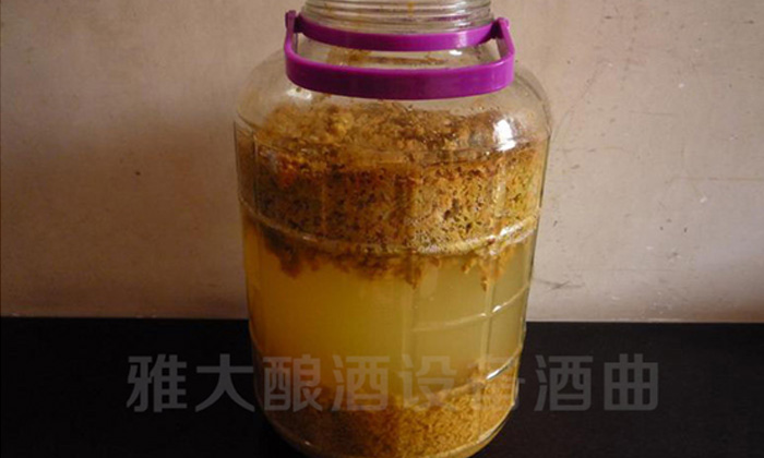 釀酒老師傅告訴你，怎樣在家用白酒生產(chǎn)設(shè)備做海棠果酒04