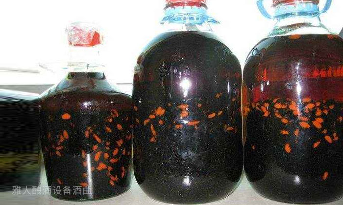 9.15「大型釀酒設(shè)備」驚！用黑螞蟻泡酒功效竟然這么大！02