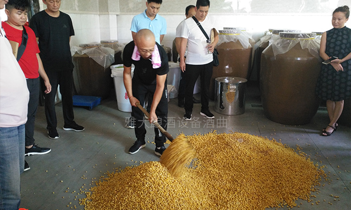 4步教您用糧食釀酒設(shè)備做固態(tài)玉米酒，純實(shí)操！-05