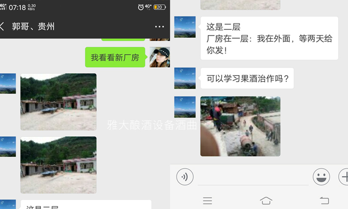 用糧食釀酒設(shè)備烤酒后的酒糟養(yǎng)豬，幫郭光林節(jié)約成本30%！-04