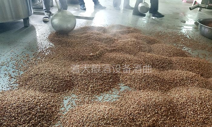 擁有10多套房產(chǎn)的包租婆，為何選擇用糧食釀酒設(shè)備做酒？-04