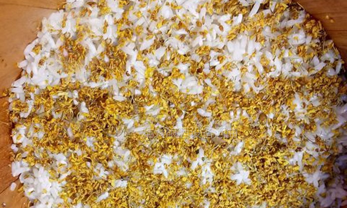 大型釀酒設(shè)備制作桂花糯米甜酒釀的方法，用干桂花也可以做！-04