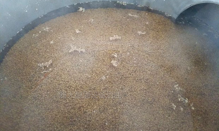 「釀酒教學」7步教您用專業(yè)釀酒設備做固態(tài)小麥酒，純實操！-02-小麥-泡糧