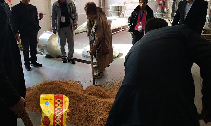 「釀酒教學」7步教您用專業(yè)釀酒設備做固態(tài)小麥酒，純實操！-04-小麥釀酒加入雅大高產(chǎn)酒曲