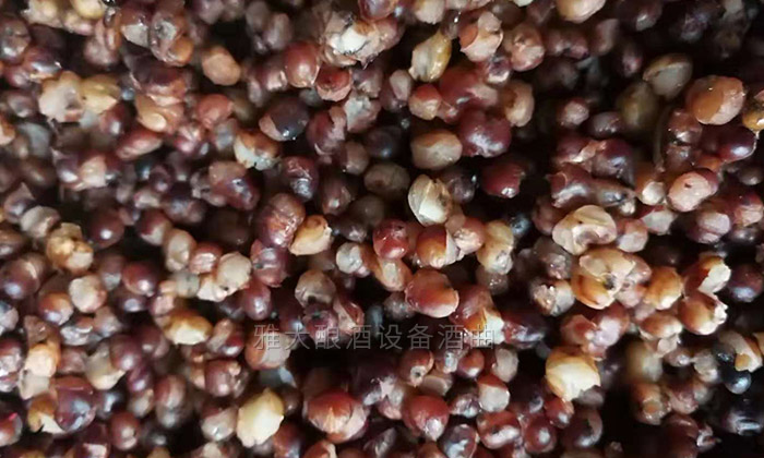 饒總用專業(yè)釀酒設(shè)備做洞藏酒，半年后洞天醇成為當(dāng)?shù)卣信坡糜尉包c(diǎn)-09