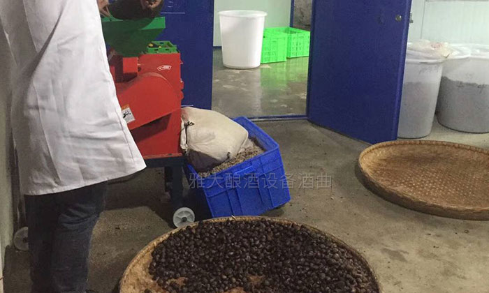 民間用小型白酒釀酒設(shè)備釀了15年板粟酒的傳統(tǒng)技藝被公布！-04-板栗釀酒-粉碎