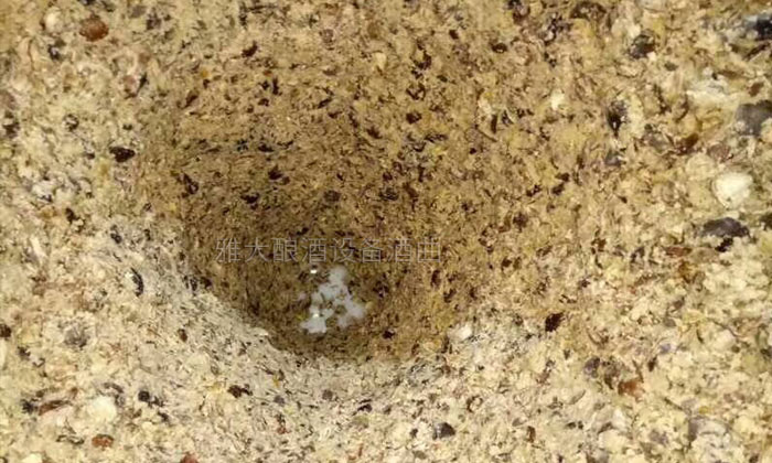 民間用小型白酒釀酒設(shè)備釀了15年板粟酒的傳統(tǒng)技藝被公布！-06-板栗釀酒-發(fā)酵