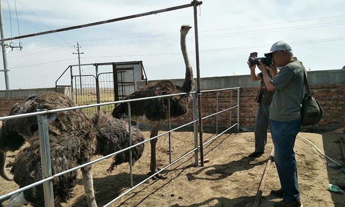 用雅大釀酒設(shè)備開(kāi)個(gè)純糧酒坊如何選址，賣(mài)散酒的店開(kāi)哪好？-06