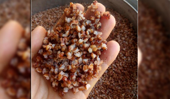 釀酒新設(shè)備釀制古法固態(tài)純糧酒的6大步驟，你清楚嗎？-01-高粱釀酒蒸開花