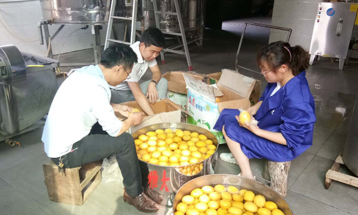 看過來，大型釀酒設(shè)備廠家制作檸檬酒的標(biāo)準(zhǔn)教程在這里！-01