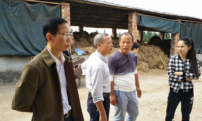 2019年外出打工？不如用多功能釀酒設(shè)備釀酒養(yǎng)牛-03-養(yǎng)殖場(chǎng)地