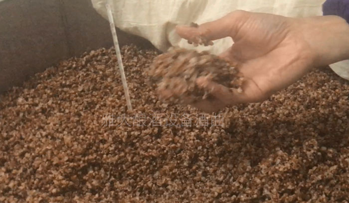 用熟料釀酒設備釀固態(tài)酒，真能通過黃水的味道判斷發(fā)酵情況？-03-高粱發(fā)酵5