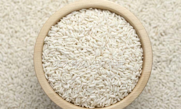 做酒設(shè)備釀造五糧酒的5個(gè)小妖精，到底有什么特有之處？-04-糯米