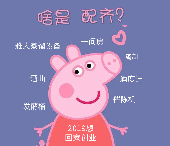 啥是佩奇？2019回家釀酒創(chuàng)業(yè)，全套釀酒設(shè)備要配齊！-02-啥是佩奇2