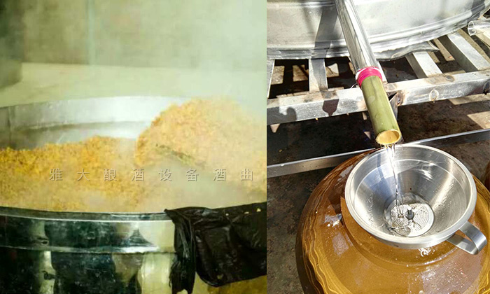 何總用全套釀酒設備做純糧酒，短短1個月就供不應求的真相是……-06-釀酒設備出酒3