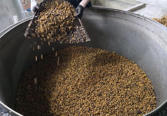 用中型釀酒設(shè)備蒸餾固態(tài)白酒，這樣蒸才能去苦增香——裝甑-01