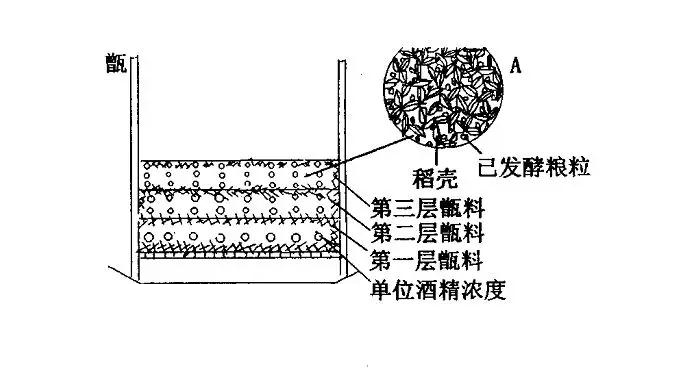 用中型釀酒設(shè)備蒸餾固態(tài)白酒，這樣蒸才能去苦增香——裝甑-03-裝甑