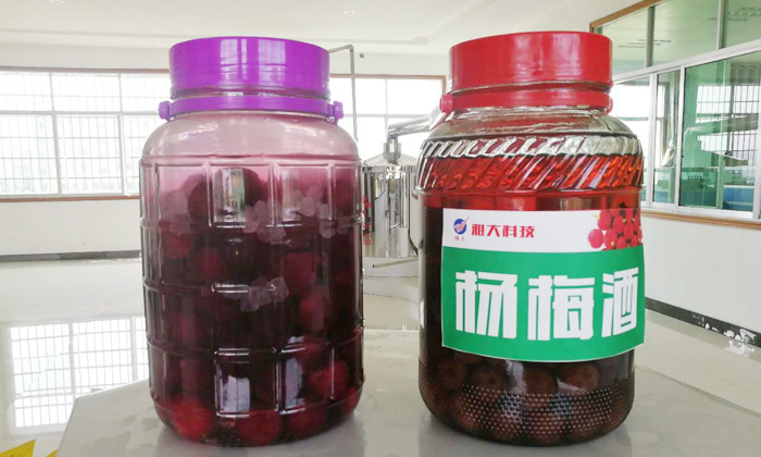 適合春季釀造的5種常見水果，無須多功能釀酒設(shè)備在家也能做！-04-楊梅泡酒