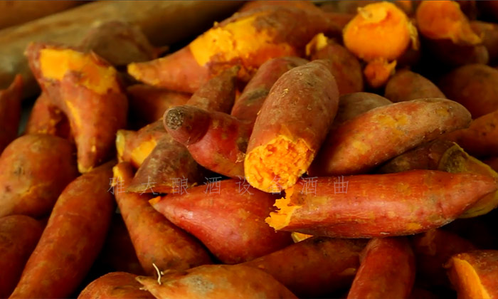 8.10-8步教您用小型酒廠釀酒設(shè)備釀造紅薯酒，純實(shí)操！2