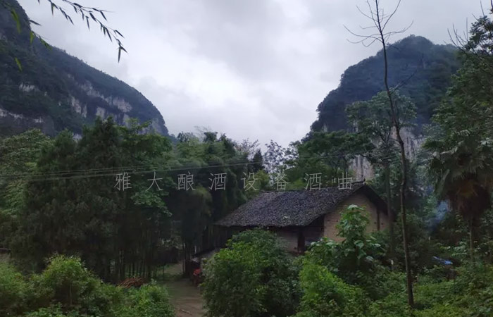 8.25-兵哥哥用雅大制酒設(shè)備釀出湄江招牌旅游產(chǎn)品，月凈賺3萬1